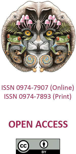 263112.jpg
