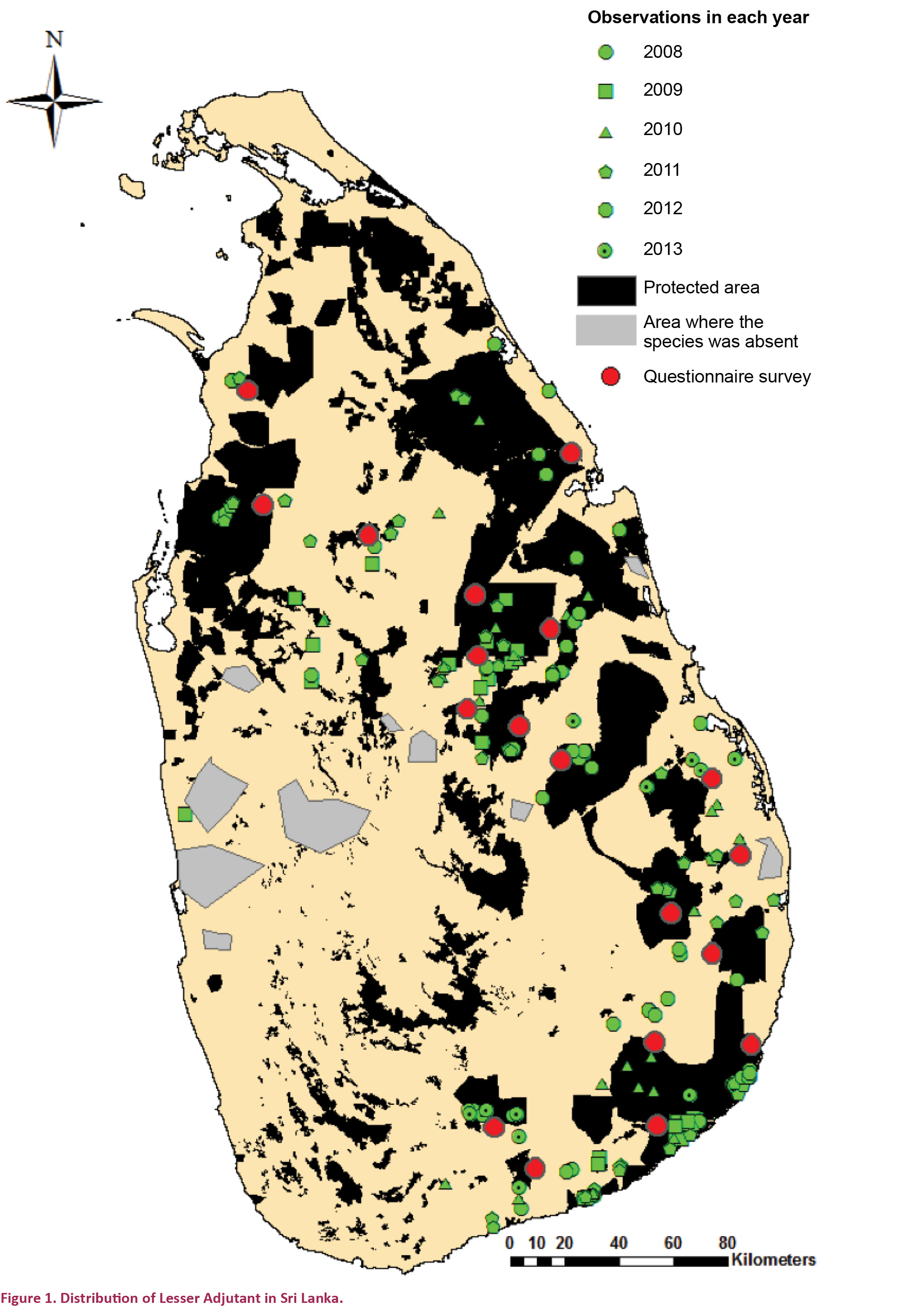 254710.jpg