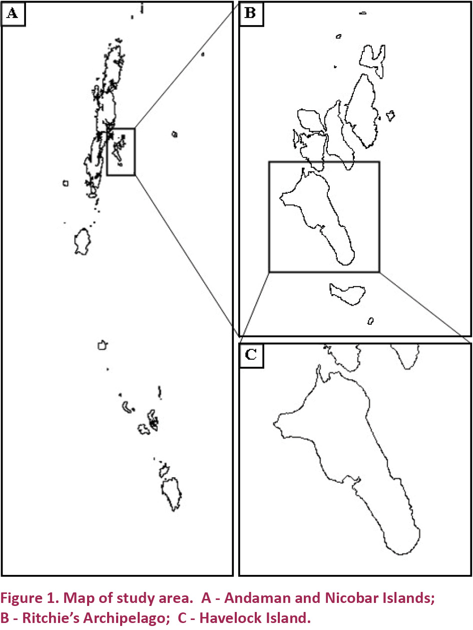 253647.jpg