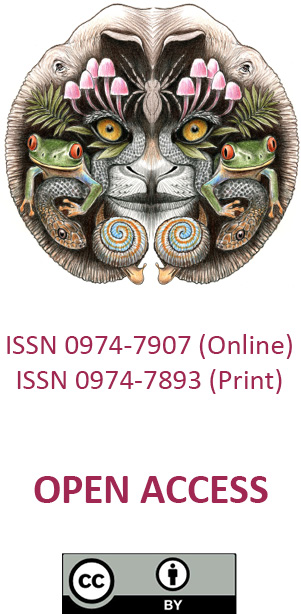 275477.jpg