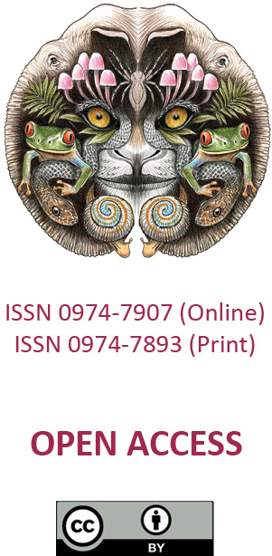 316526.jpg