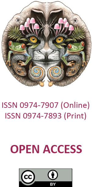 275477.jpg