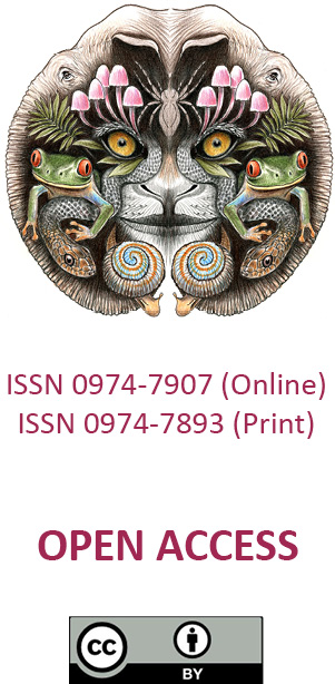 316383.jpg