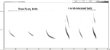 3462-13065-1-SP.png