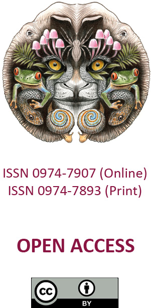 275477.jpg