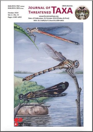      View Vol. 6 No. 11 (2014)    