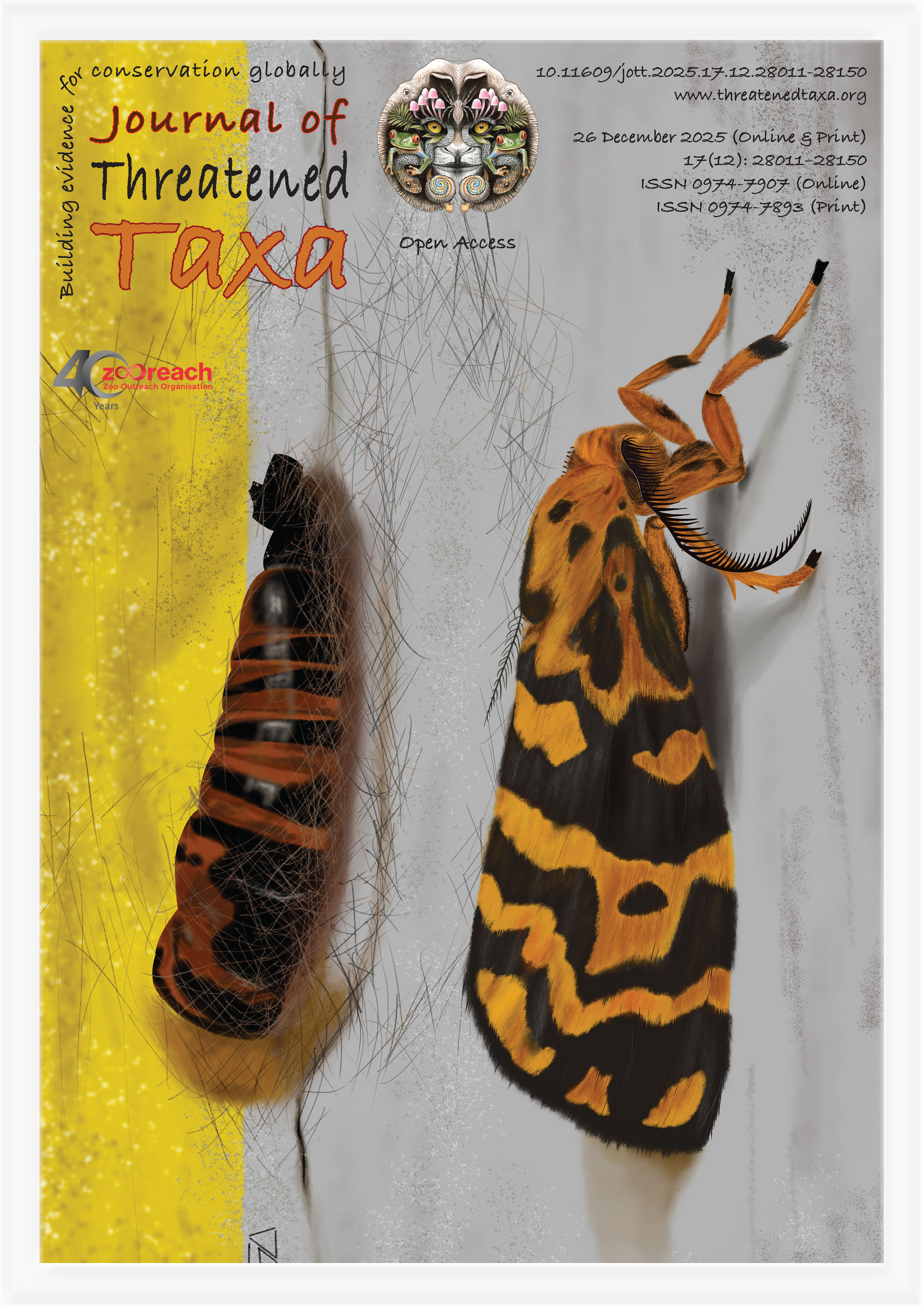 View Vol. 17 No. 12 (2025)